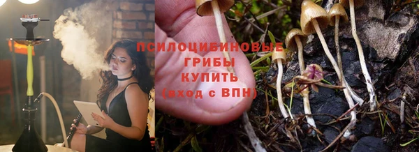 марки lsd Белокуриха