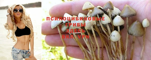 ALPHA-PVP Беломорск