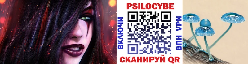 Псилоцибиновые грибы прущие грибы  Велиж 